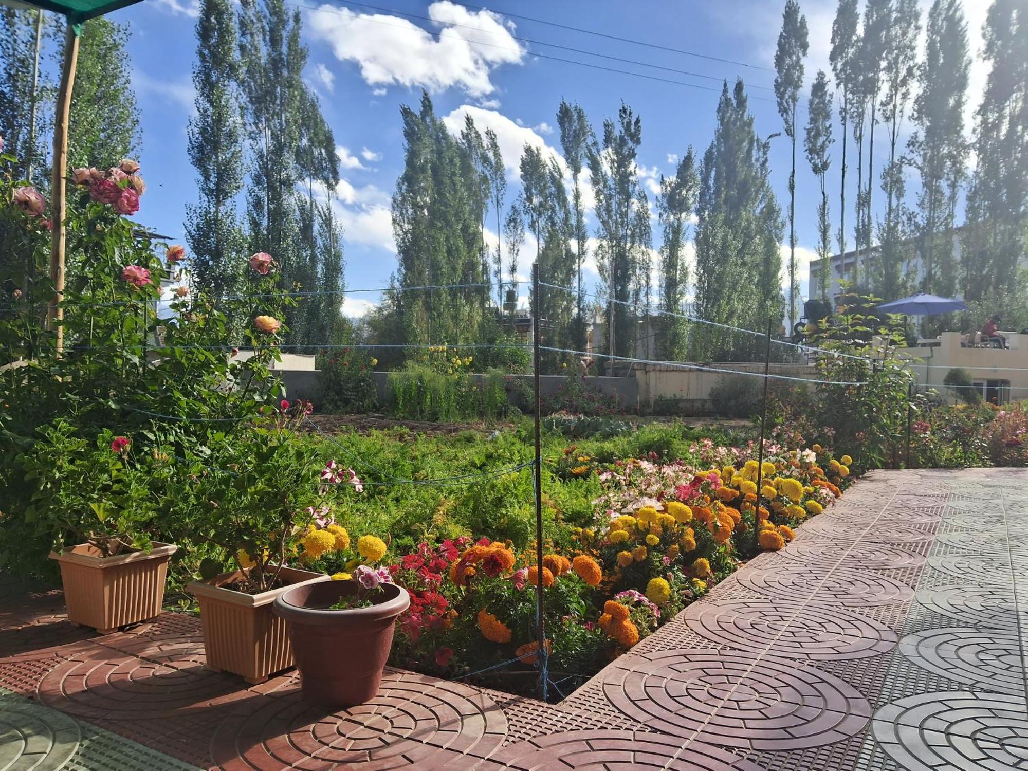 Zaltak Guest House And Hostel Лех Екстер'єр фото